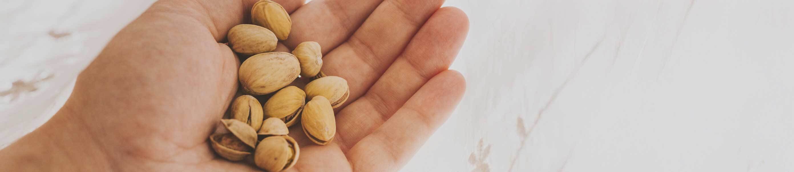 Salted, shelled pistachios nuts being held in left hand
