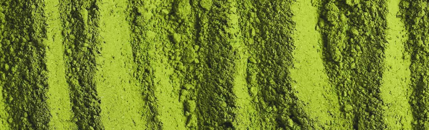 Close up photo of green matcha powder